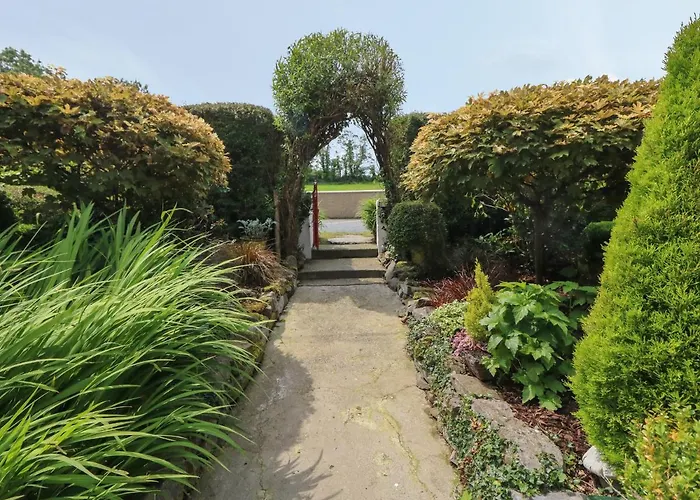 Mary Rose * Castleisland