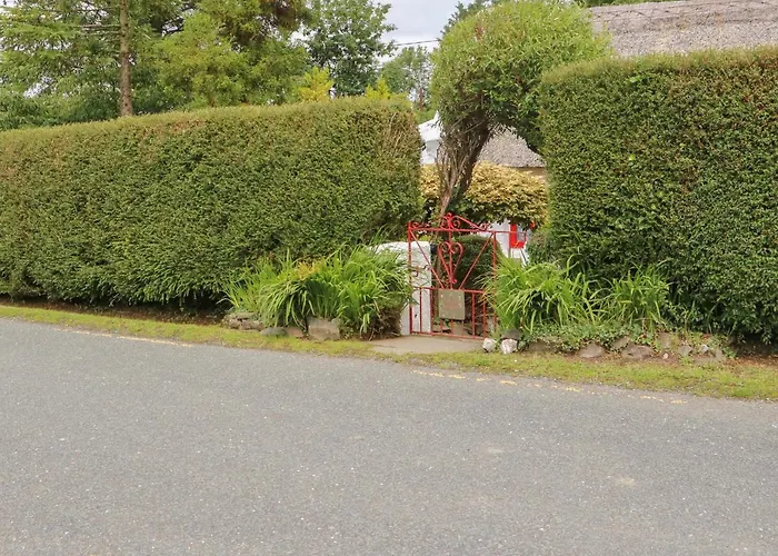 Mary Rose * Castleisland